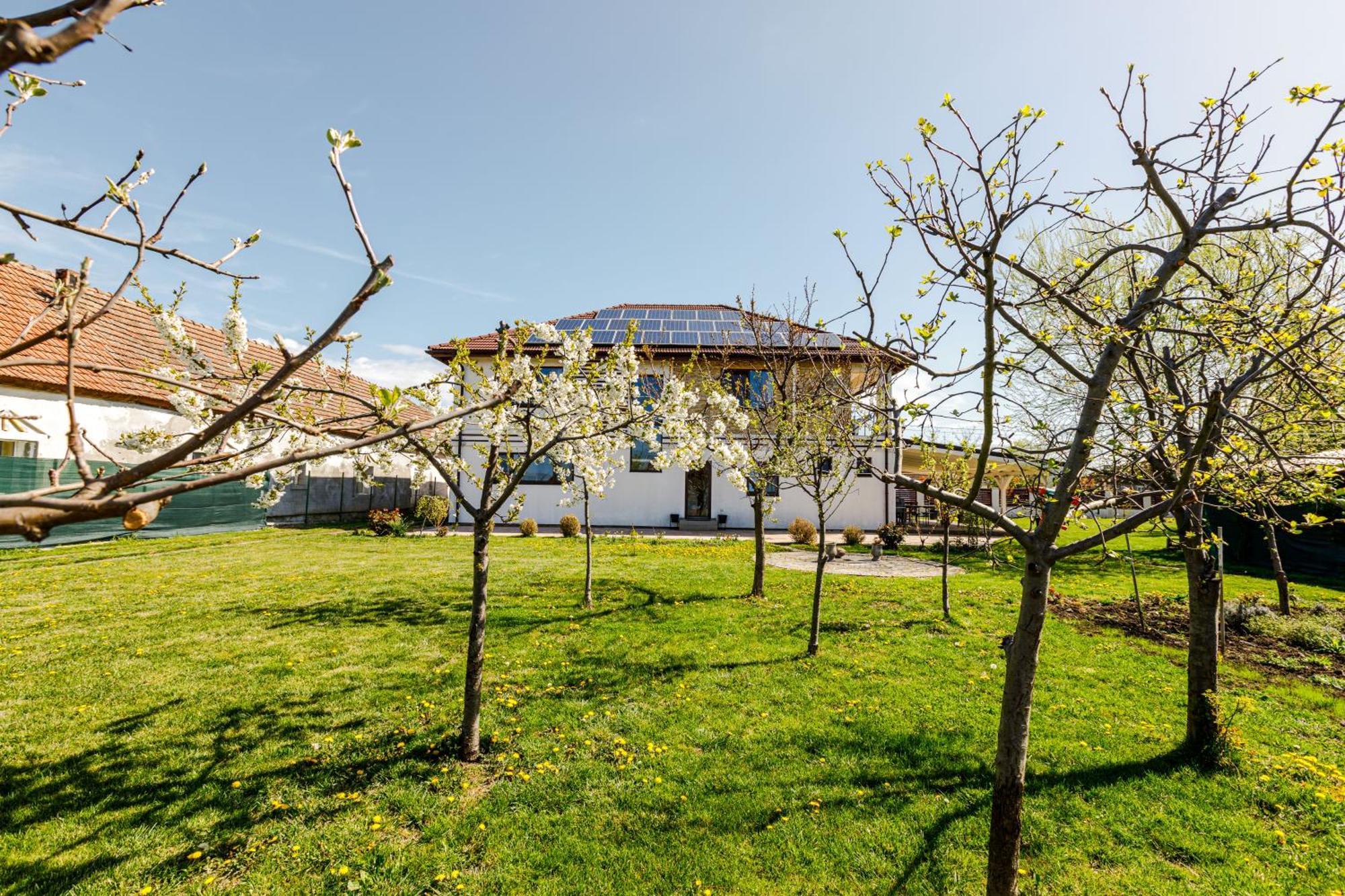 Gasthaus Sacalaz Hotel Temesvár Kültér fotó